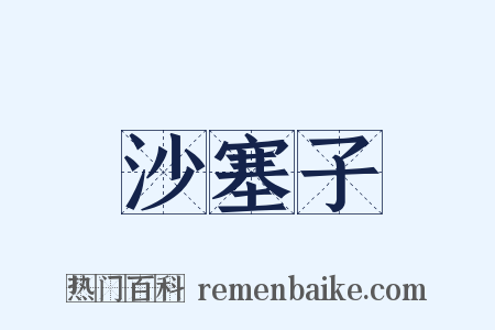 沙塞子是什么意思的图片